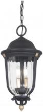 Minka-Lavery 73236-738 - Peale Street - 3 Light Chain Hung