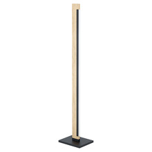 Eglo Canada - Trend 99296A - Camacho LED Floor Lamp