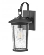 Lark Canada 82020BK - Medium Wall Mount Lantern