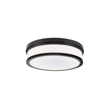 Vinci Lighting Inc. FM3610-BK - Flush Mounts Matte Black