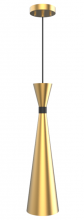 Vinci Lighting Inc. P1422AB - Pendant Aged Brass with Black