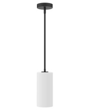 Vinci Lighting Inc. P1850-1-BK-WH - Pendents Black
