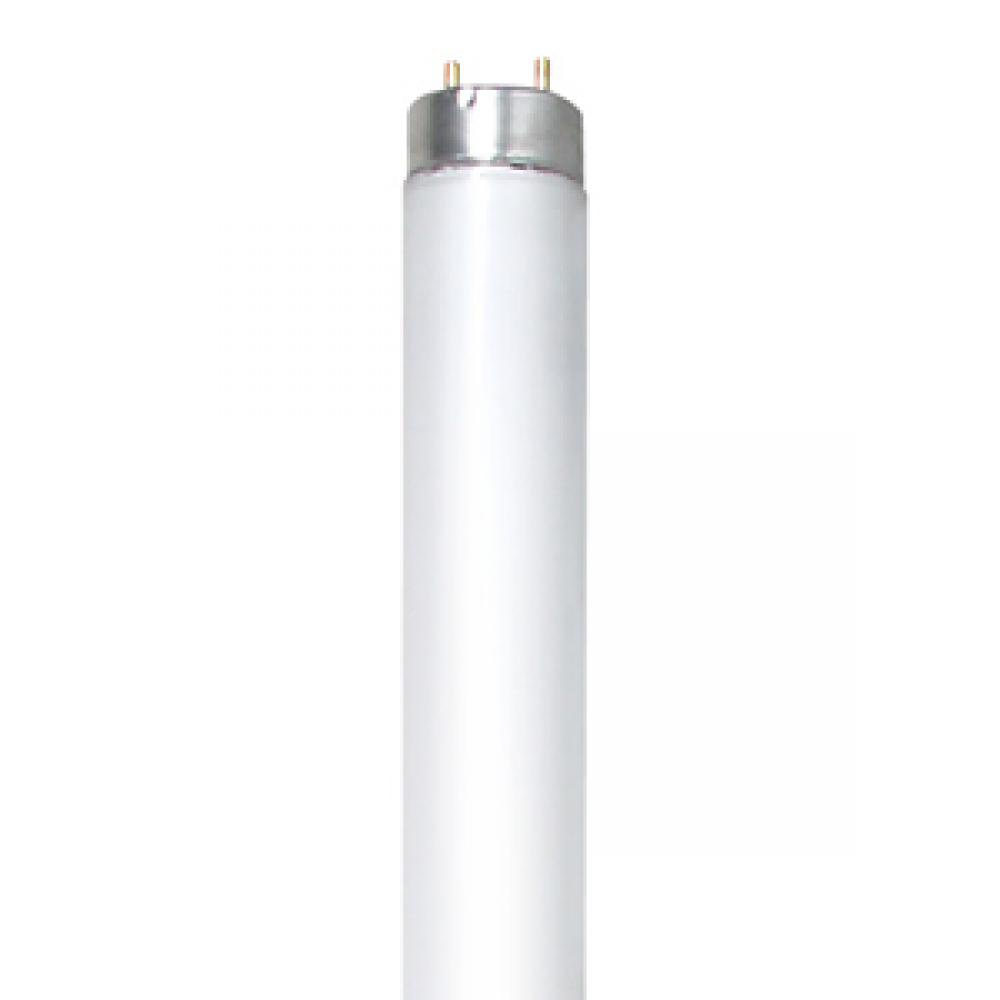 FLUORESCENT SAFETY MAX LINEAR T8 32W 4100K RAPID START (RS) MED BIPIN G1 3 STD