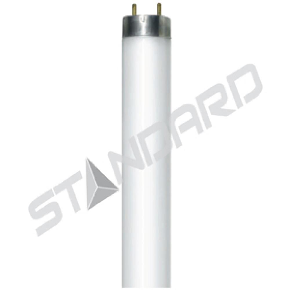 FLUORESCENT LINEAR T8 32W 4100K RAPID START (RS) MED BIPIN G13 STD