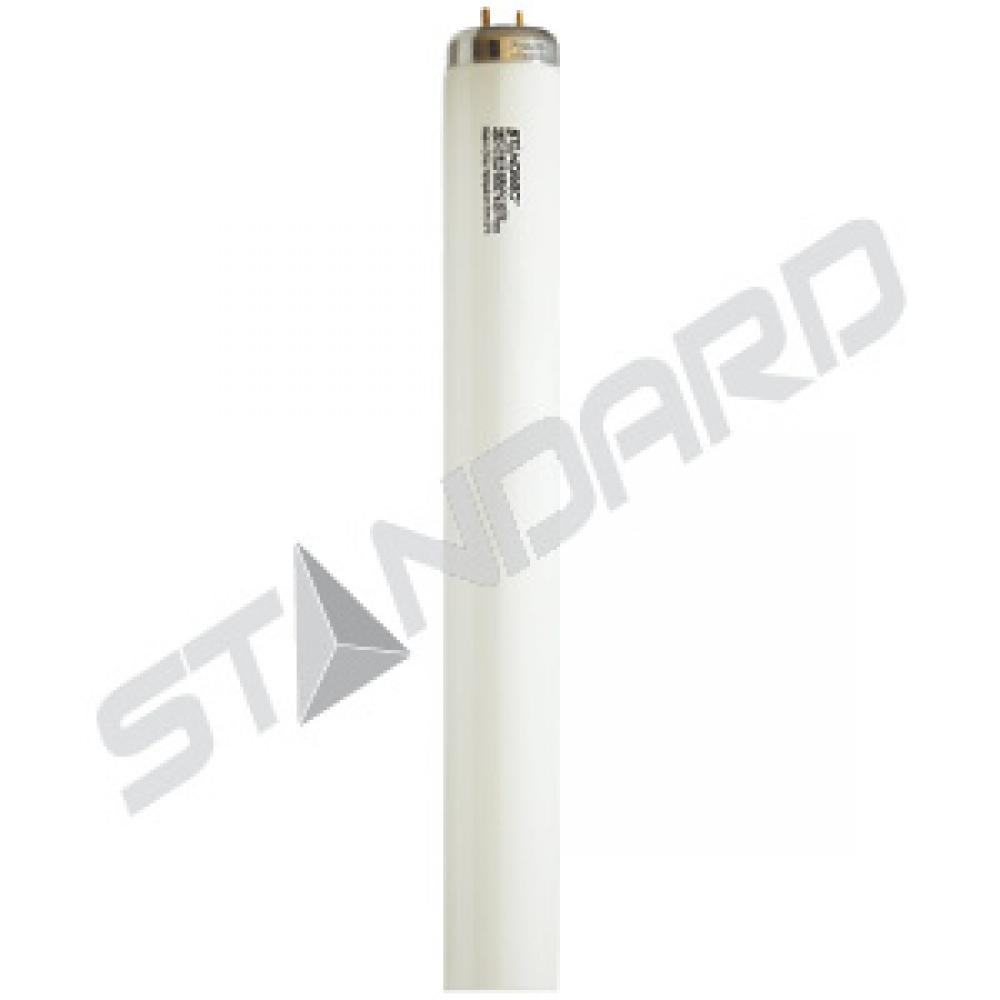 FLUORESCENT LINEAR T12 40W 6500K RAPID START (RS) MED BIPIN G13 STD