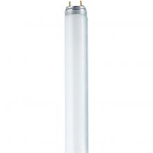 Stanpro (Standard Products Inc.) 69141 - FLUORESCENT LINEAR T8 58W 3000K MED BIPIN G13 RADIUM