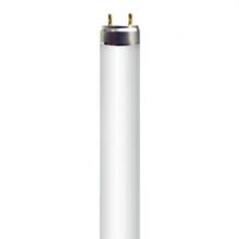 Stanpro (Standard Products Inc.) 16008 - FLUORESCENT LINEAR T8 10W 6000K PREHEAT START (PH) MED BIPIN G13