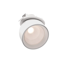 Dals CA GSP3-CC-WH - 3in gimbal spot light, 5CCT