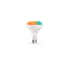 Dals CA SM-BLBBR30 - Smart BR30 RGB+CCT Light Bulb