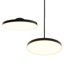 Dals CA TLPF21-CC-UNV-BK - 21in Trimless 2in1 with stems, 5CCT, 120-347v, 0-10v/Triac - Black