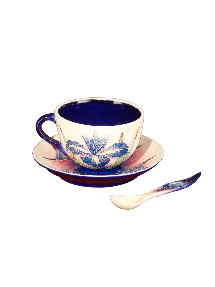 5X3.5 IRIS CUP & SAUCER