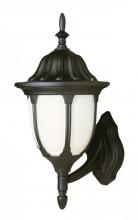 Trans Globe 4041 RT - Hamilton 1-Light Opal Glass Traditional Outdoor Wall Lantern