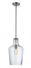 Trans Globe PND-2152 - 1LT PENDANT RAVEN CL-BN