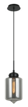 Matteo Lighting C41401SM - Irresistible Organic Charm Pendant