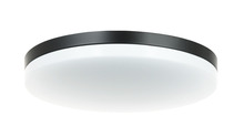 Matteo Lighting M12002BK - Orion Ceiling Mount