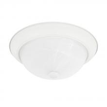 Capital Canada 219022MW - 2 Light Flush Mount