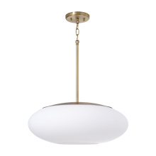 Capital Canada 360511AD - 1 Light Pendant