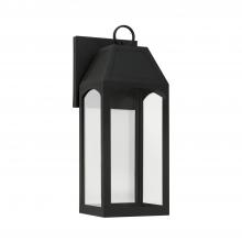 Capital Canada 946311BK-GL - 1 Light Outdoor Wall Lantern