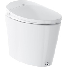 Bemis S5000E 000 - S5000E Bemis Sanctuary 5000 Elongated Plastic/Ceramic Bidet Toilet in White