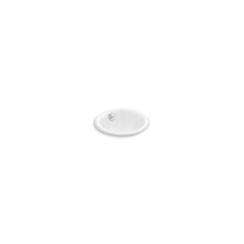 Iron Plains® 12'' round drop-in/undermount/vessel bathroom sink