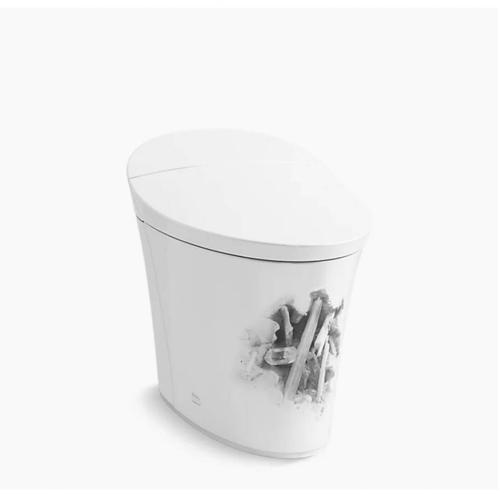 Landshapes™ by Daniel Arsham One-piece elongated smart toilet, dual-flush