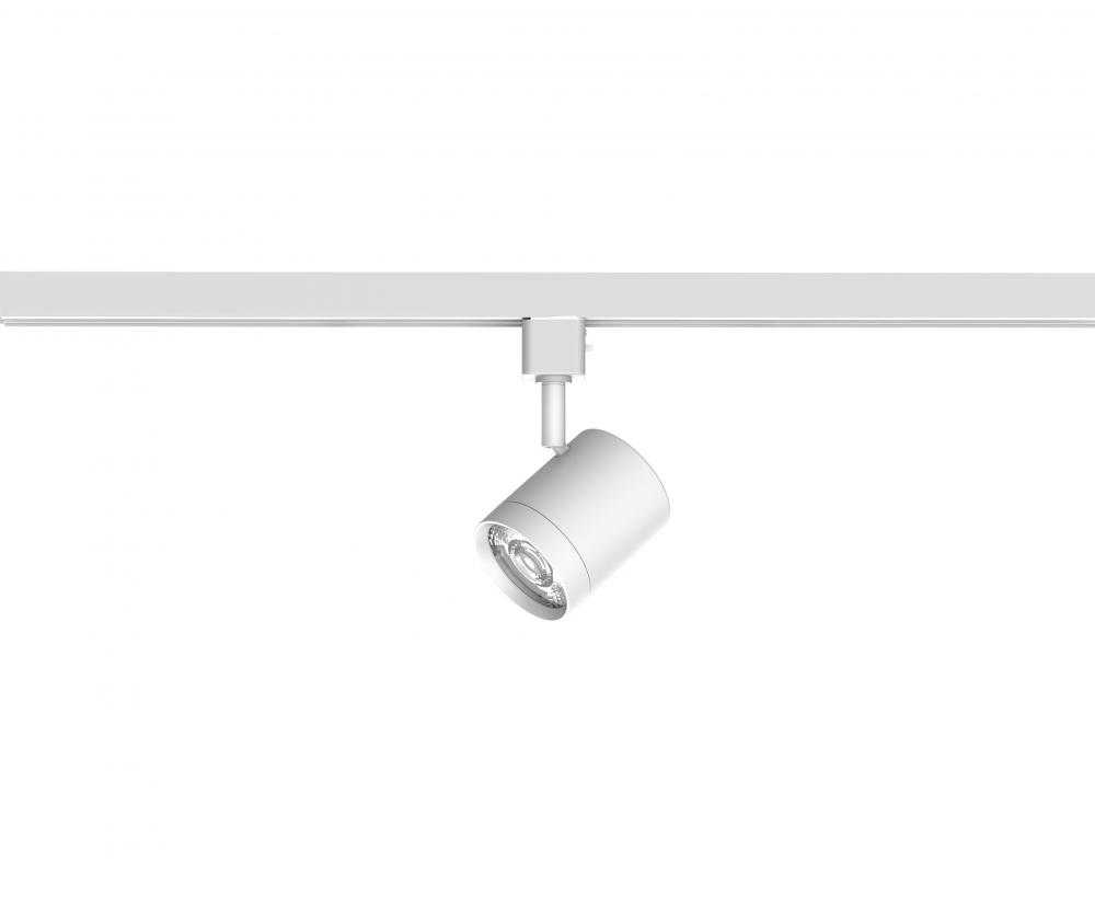 8020 Energy Star Track Luminaire