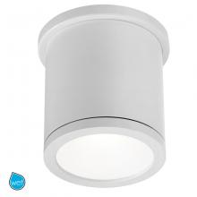 WAC Canada FM-W2605-WT - TUBE Outdoor Flush Mount Light