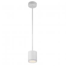 WAC Canada PD-W2605-WT - TUBE Outdoor Pendant Light