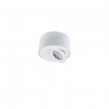 Modern Forms Canada FM-W44205-30-WT - I Spy Outdoor Flush Mount Light