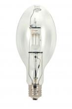 Metal Halide Bulbs