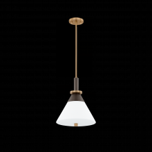 Troy F4212-PBR/BRZ - Staton Pendant