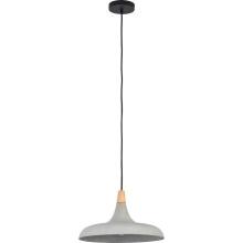 Renwil LPC4331 - Viola-May 9" Length Ceiling Fixture, Grey