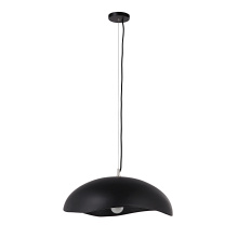 Renwil LPC4479 - Filomena 22" Wide 1-Light Chandelier, Matte Black