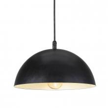Regina Andrew 17-1003BLK - Regina Andrew Peridot Outdoor Pendant Small (Black)