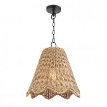 Regina Andrew 17-1029NAT - Regina Andrew Summer Outdoor Pendant Small (Weathered Natural)