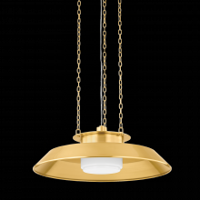 Hudson Valley 8822-AGB - WOODROW Pendant