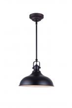 Canarm LPL103A01BK - Sussex 1 Light Pendant, Black Finish