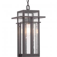 Progress P550039-020 - P550039-020 1-60W MED HANGING LANTERN