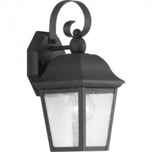 Progress P560010-031 - P560010-031 1-100W MED WALL LANTERN