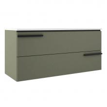 ICO Bath BA1004.SG - Accent 48'' Two Drawer Wall-Mounted Vanity - Sage Green