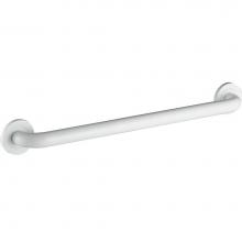 ICO Bath V94162 - 30'' Round Grab Bar - Matte White