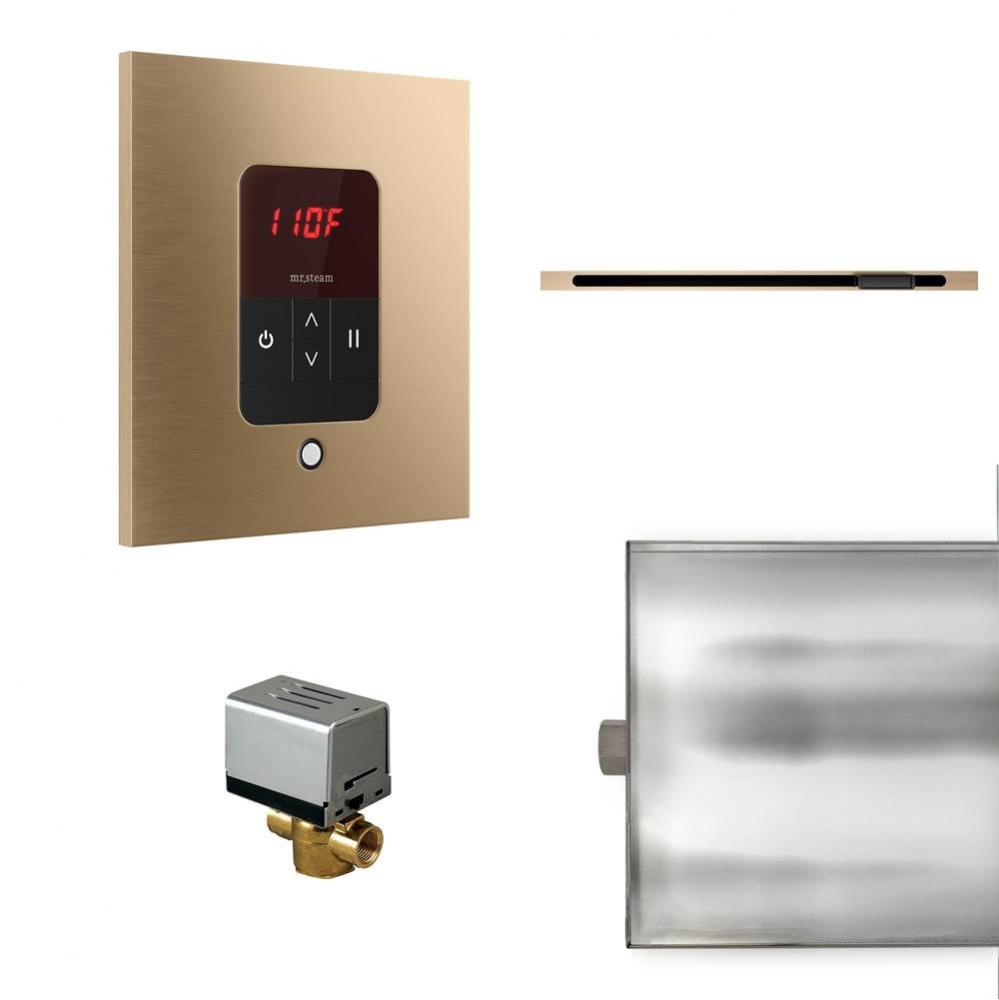 Basic Butler Linear Steam Shower Control Package with iTempo Control and Linear SteamHead in Squar