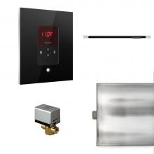 Mr. Steam BBUTLERLSBK - Basic Butler Linear Steam Shower Control Package with iTempo Control and Linear SteamHead in Squar