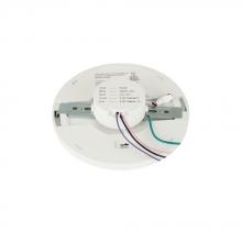 Maxilite MXL3592TL-02 - Suita