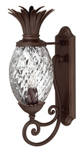 Hinkley Canada 2220CB - Large Wall Mount Lantern