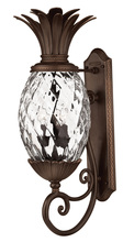 Hinkley Canada 2224CB - Large Wall Mount Lantern