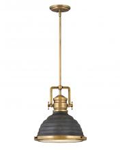 Hinkley Canada 4697HB-DZ - Medium Pendant