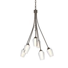 Hubbardton Forge - Canada 103043-SKT-05-ZS0354 - Flora 6 Arm Chandelier