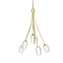 Hubbardton Forge - Canada 103043-SKT-86-ZS0354 - Flora 6 Arm Chandelier