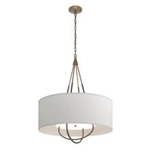 Hubbardton Forge - Canada 104230-SKT-84-05-SJ2811 - Loop Pendant